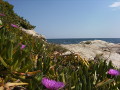 Landschaft auf Chalkidiki