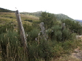 Landschaft in Frankreich