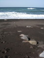 Landschaft auf Fuerteventura