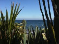 Landschaft auf Gran Canaria