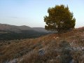 Landschaft in Kroatien