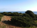 Landschaft auf Mallorca