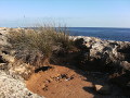 Landschaft auf Mallorca