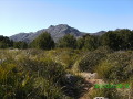 Landschaft auf Mallorca