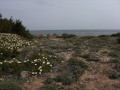 Landschaft auf Mallorca