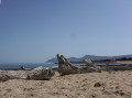 Landschaft auf Mallorca