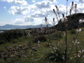 Landschaft auf Mallorca