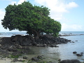 Landschaft auf Mauritius