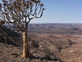 Landschaft in Namibia