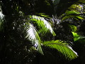 Landschaft der Seychellen