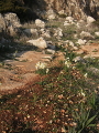 Landschaft auf Zypern